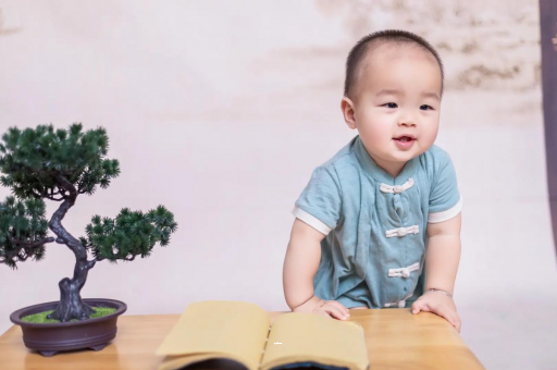 泰兴可爱的企鹅宝宝